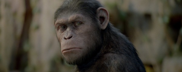 RISE OF THE PLANET OF THE APES