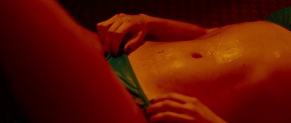 spring_breakers_never_going_to_obtain_this_feline