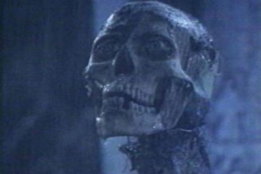 DO YOU WANT TO PARTY? IT'S PARTY TIME