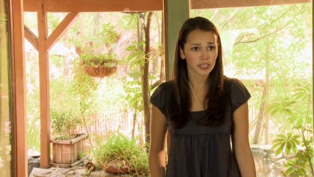 a_talking_cat_exasperation