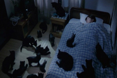 Japanese Reaction: OMG How terrifying! American reaction: OMG How cute!