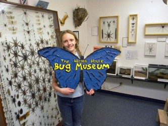 spiderroom-with-sign