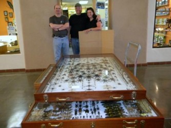 the-harrell-house-of