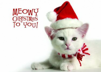 A Meowy Christmas (2017)