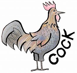 The ABC's of Animals Who Have Funny Names