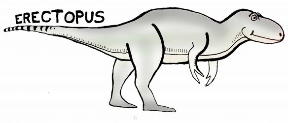 The ABC's of Animals Who Have Funny Names