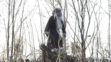 Krampus: The Christmas Devil (2013)