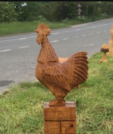 The Cock Also Rises 2:  Coming on Coney