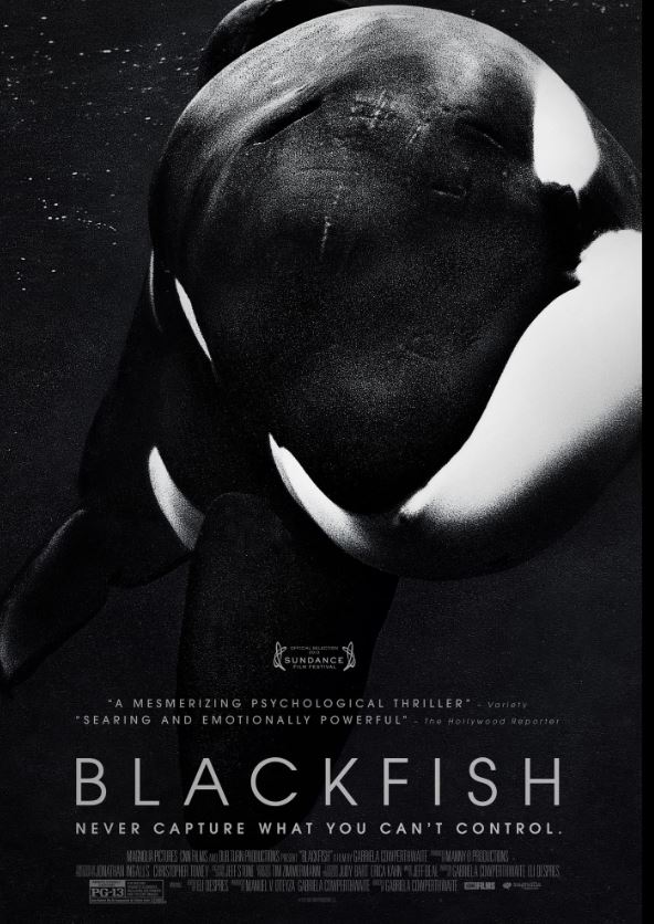 Blackfish