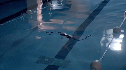 Inflatable Bikinis, Erotic Soup Bowls and Randy Nignogs