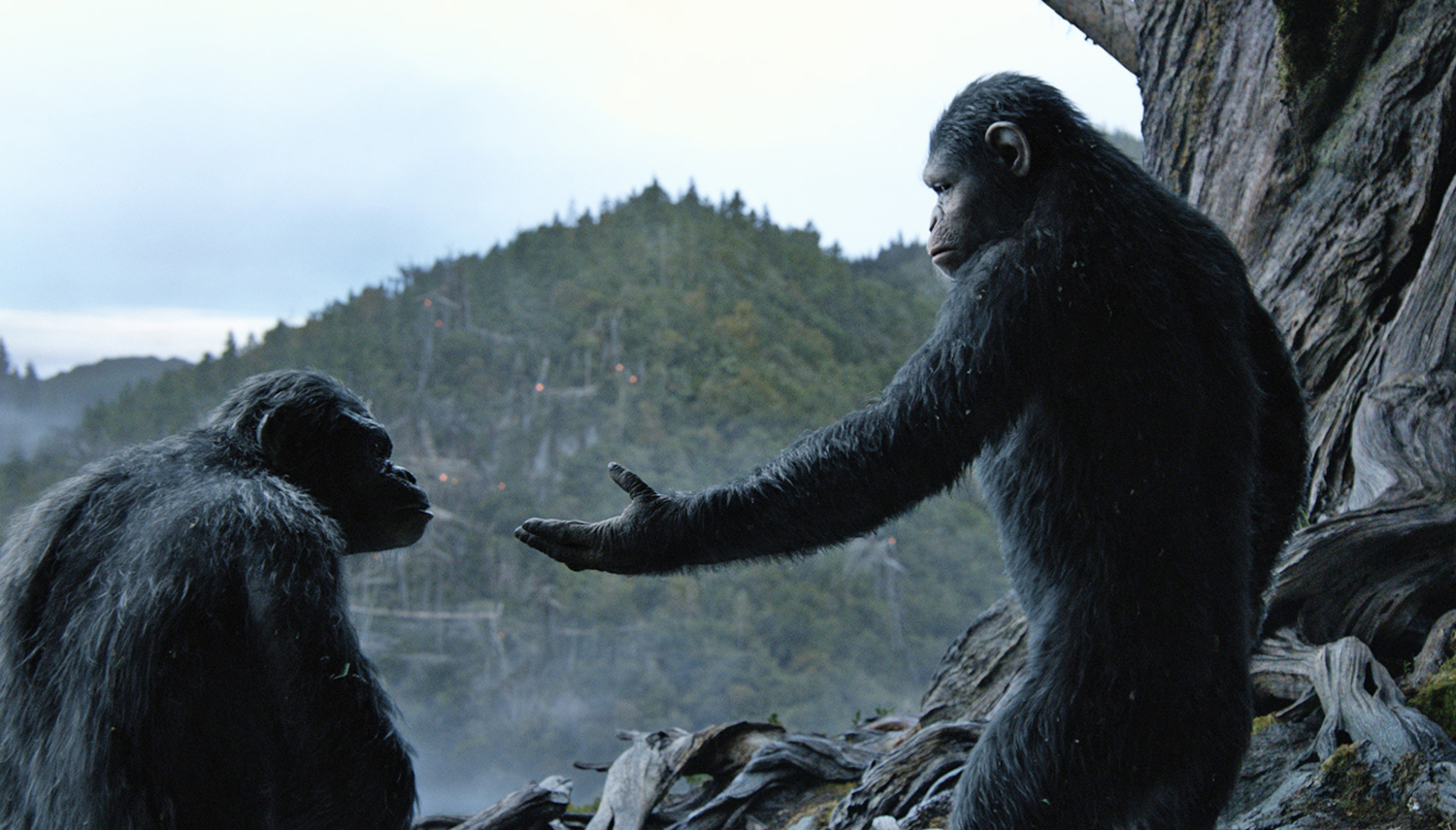 War for the Planet of the Apes