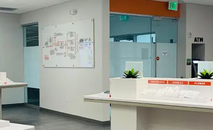 Personalized Cannabis Consultations in Tallahassee: How Expert Advice Can Enhance Your Treatment