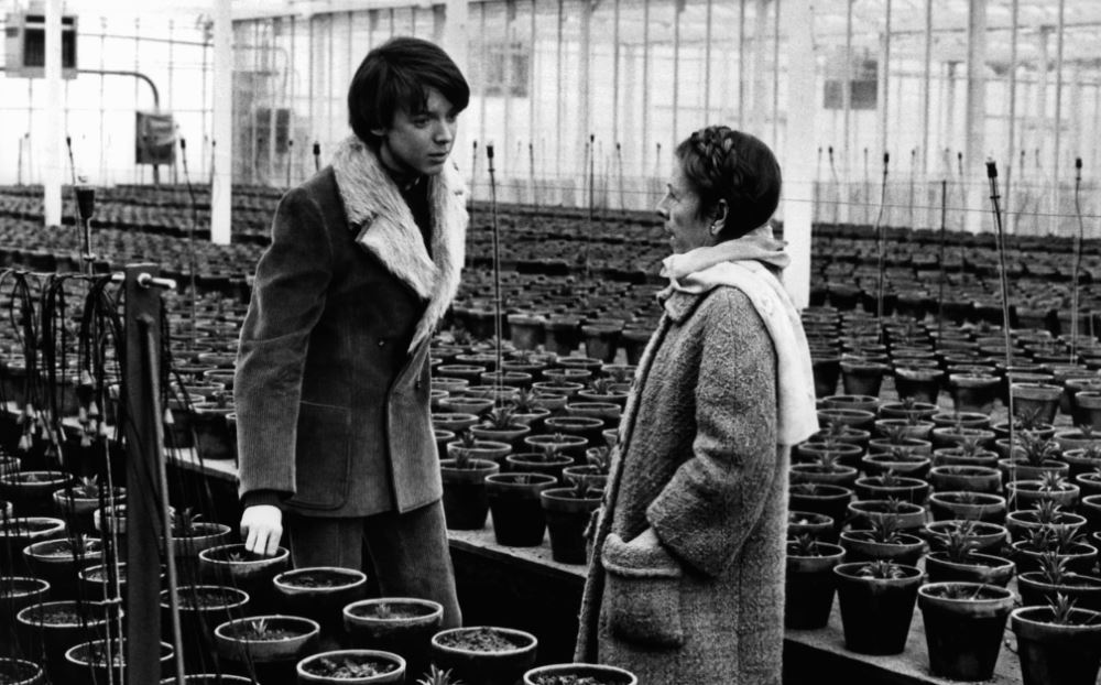 Some Romance Movies About Age Differences