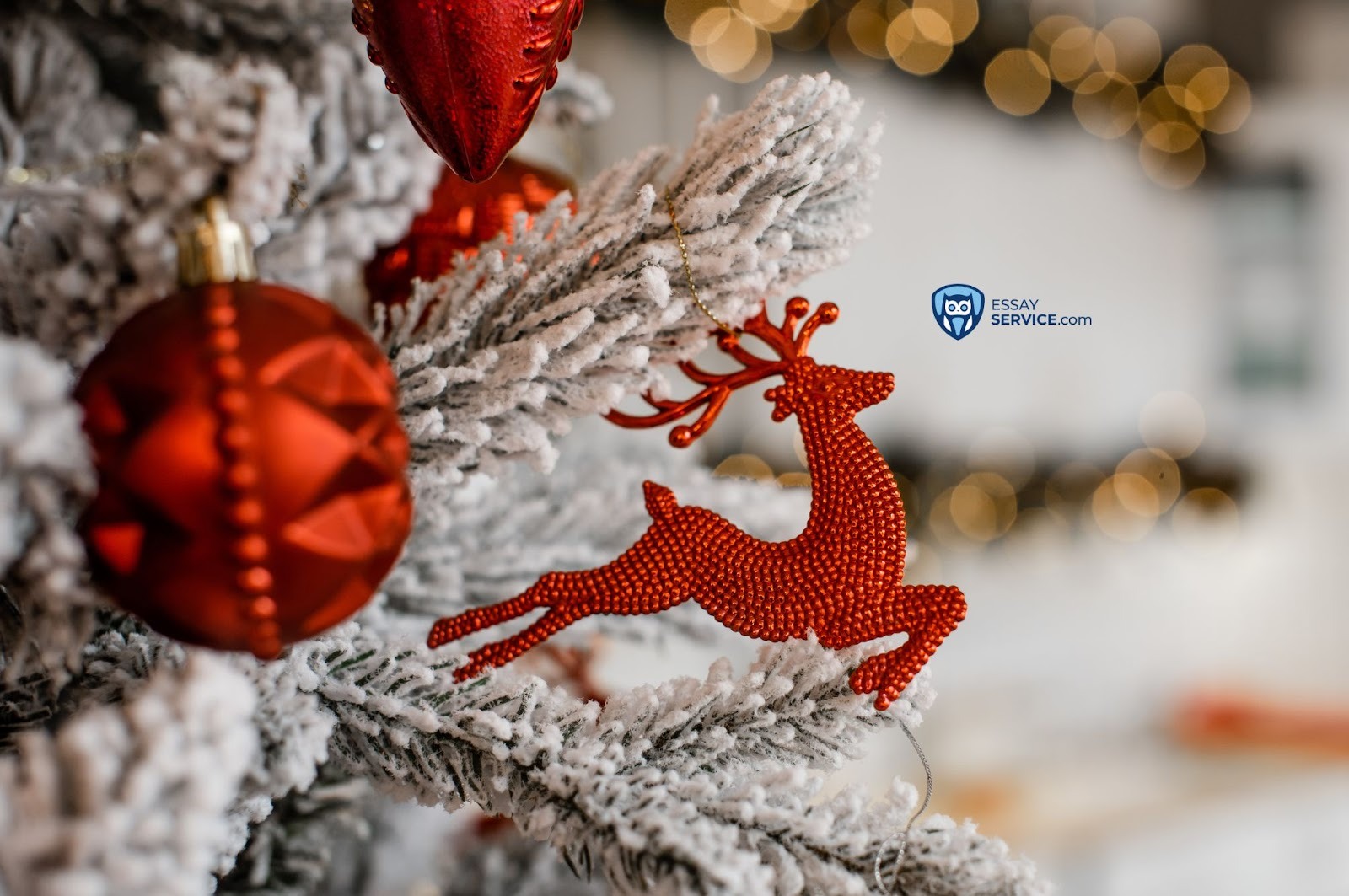 Fun Facts About Christmas