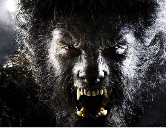 Movies That Foment Primal Fear (Part Two): Werewolves