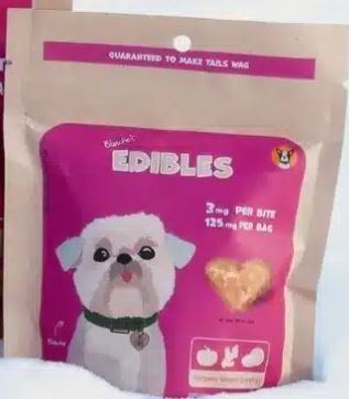 Simple Ways to Settle an Overexcited Dog Before Fun Times