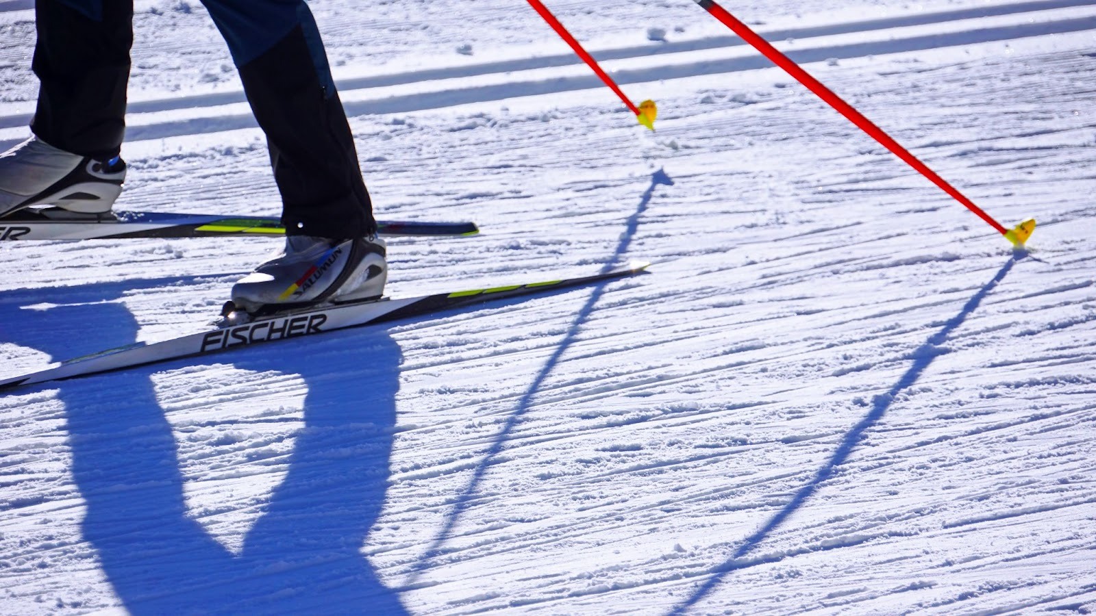 Why the 2026 Olympic Games Still Fascinate the World